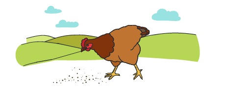 About free range